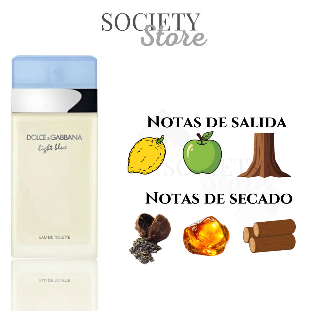 Dolce & Gabbana Light Blue Eau de Toilette 100 ml