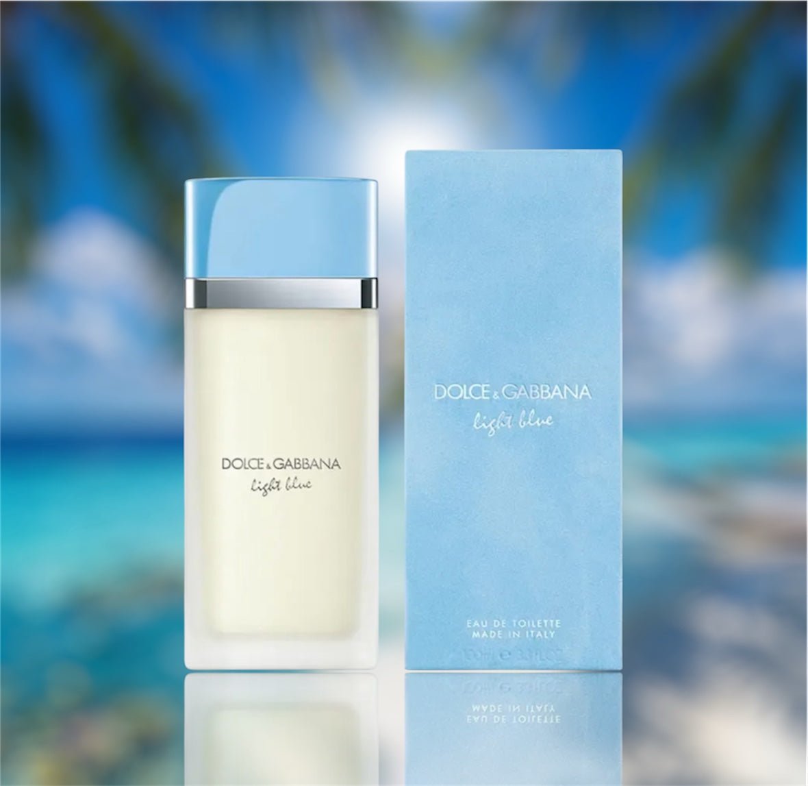 Dolce & Gabbana Light Blue Eau de Toilette 100 ml - SOCIETY STORE