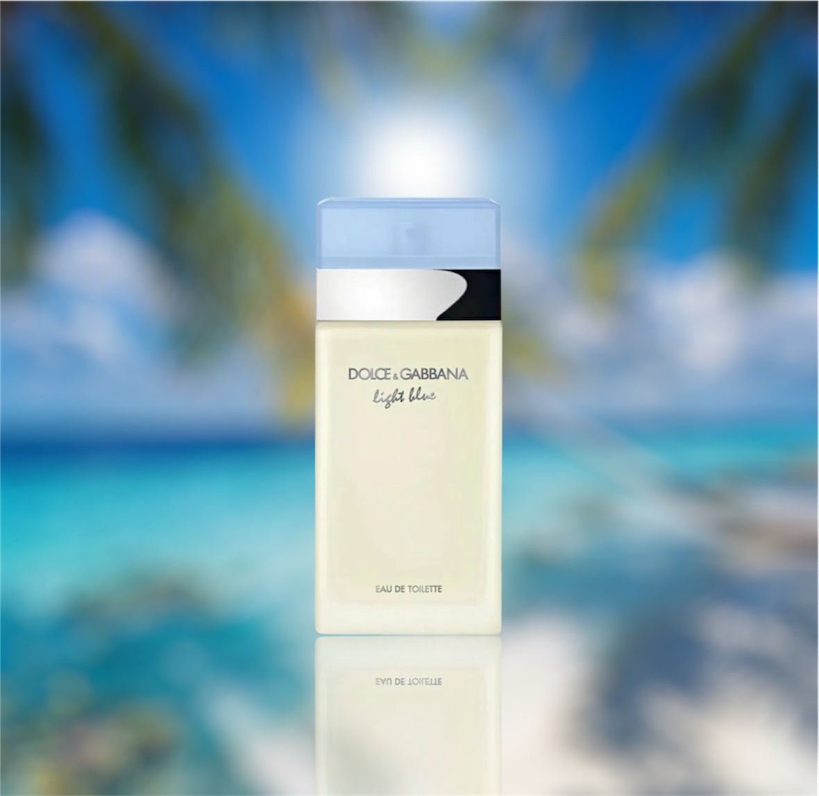 Dolce & Gabbana Light Blue Eau de Toilette 100 ml - SOCIETY STORE