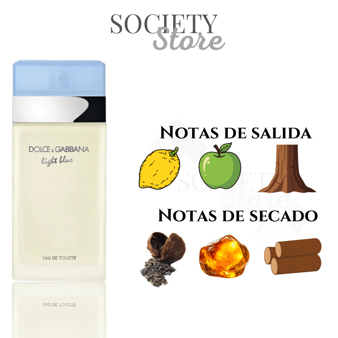 Dolce & Gabbana Light Blue Eau de Toilette 100 ml - SOCIETY STORE
